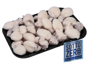 Seppioline surgelato - sottozerofood.it